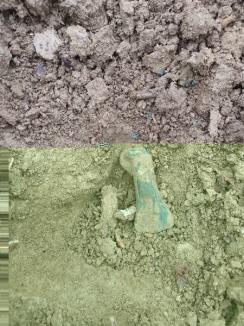 Bucăți din topoare celtice din Epoca Bronzului, vechi de 3.000 de ani, descoperite într-o pădure din Bihor (FOTO)