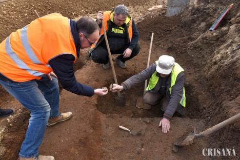 O urnă funerară veche de 3.000 de ani, cu tot cu cenuşă, găsită la marginea Oradiei (FOTO)