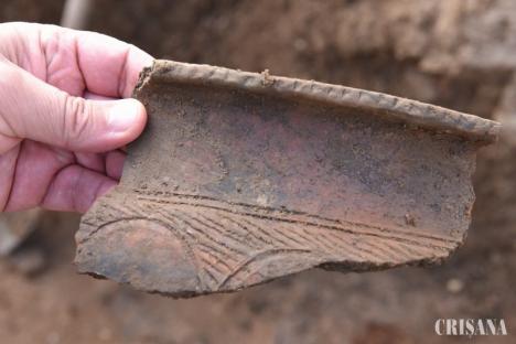 O urnă funerară veche de 3.000 de ani, cu tot cu cenuşă, găsită la marginea Oradiei (FOTO)
