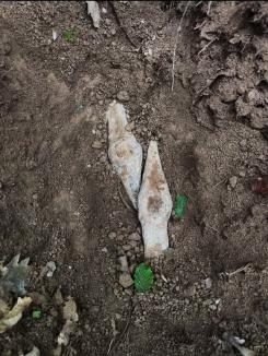 Descoperire arheologică în Bihor: O sabie din Evul Mediu (FOTO)