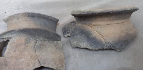 Descoperire pe şantierul drumului între Oradea şi Autostrada A3: Arheologii au găsit o aşezare din Epoca Bronzului, lângă Biharia (FOTO)