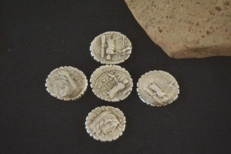Istorie scoasă la lumină! La Muzeul Țării Crișurilor au fost prezentate două tezaure de monede recent descoperite (FOTO)