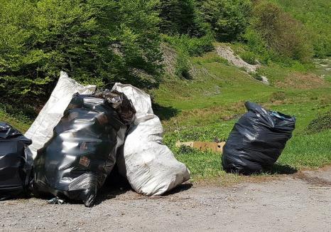 Localităţile din Bihor stau prost la reciclarea deşeurilor refolosibile: în unele comune acestea nu se colectează distinct de celelalte reziduuri