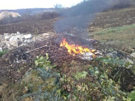 Nu daţi foc gunoaielor! Cu cât a fost amendat un bihorean prins de comisarii de mediu că incendia deşeuri (FOTO)