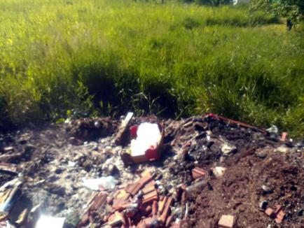 Amendă pentru un magazin din Bihor unde gunoaiele erau incendiate în curtea din spate (FOTO)