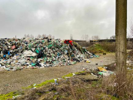 Au „plantat” gunoaie! Descoperire șocantă la marginea Oradiei: munți de deșeuri aruncate ilegal pe terenul fostelor sere (FOTO/VIDEO)