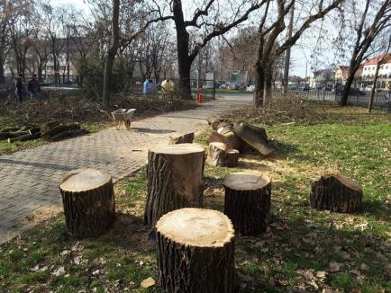 Defrişări masive în Parcul Bălcescu din Oradea. Mai mulţi copaci au fost tăiaţi sau ciopârţiţi (FOTO)