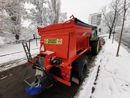 Zăpadă în Oradea: 25 de utilaje au acţionat toată noaptea pentru deszăpezire (FOTO)