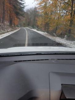 Se intervine pentru deszăpezirea drumurilor județene din Bihor. Niciunul nu e blocat, dar se circulă în condiții de iarnă (FOTO)