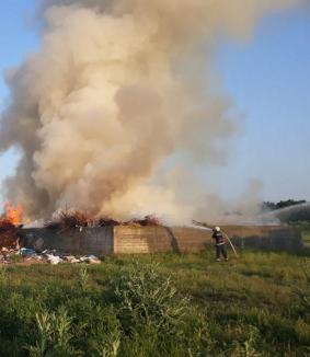 Aer poluat în Sântandrei şi Rontău: Gropile de gunoi au luat foc, tone de deşeuri au ars sub cerul liber (FOTO)