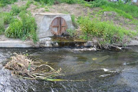 Ape de rahat: Pârâurile Peţa şi Adona sunt pline cu fecale şi alte resturi menajere, scurse din reţeaua de canalizare pluvială a Oradiei (FOTO)