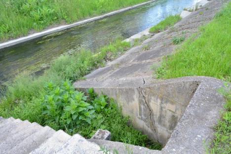 Ape de rahat: Pârâurile Peţa şi Adona sunt pline cu fecale şi alte resturi menajere, scurse din reţeaua de canalizare pluvială a Oradiei (FOTO)