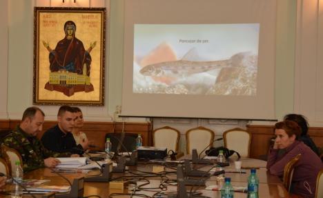 Concluziile specialiştilor: în amonte de Oradea, habitatele protejate de pe Crişul Repede sunt foarte bine conservate (FOTO)
