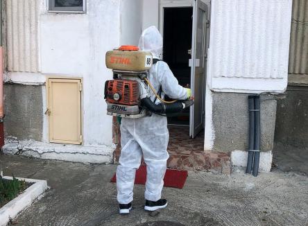 Deratizare periculoasă, în Oradea: Firmă de curățenie, prinsă de autorități că împrăștie substanțe toxice fără să aibă autorizație