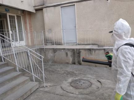 Dezinfecţia scărilor de bloc şi a staţiilor OTL din Oradea a început luni din cartierul Nufărul (FOTO / VIDEO)