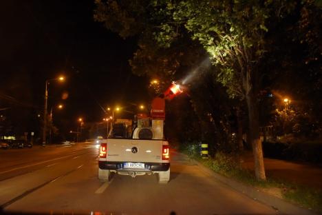În sfârșit! Opt mașini cu „tunuri insecticide” au stropit Oradea împotriva țânțarilor (FOTO / VIDEO)