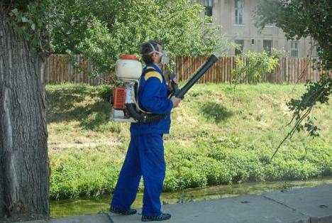 Țânțarii, bată-i vina! Primăria Oradea demarează noi lucrări de dezinsecție în spațiile publice
