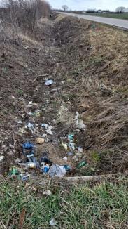 Aproape 30 tone de gunoaie strânse gratuit anul acesta de pe marginea drumurilor județene din Bihor (FOTO)