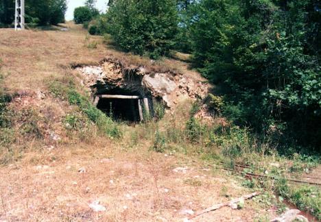 Dinozaurii Bihorului: Povestea descoperirii osemintelor de dinozauri din Bihor, vechi de 125 de milioane de ani (FOTO)