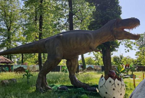 Cetatea Oradea se umple de... dinozauri! Peste 80 de reptile vor putea fi admirate timp de o lună (FOTO/VIDEO)