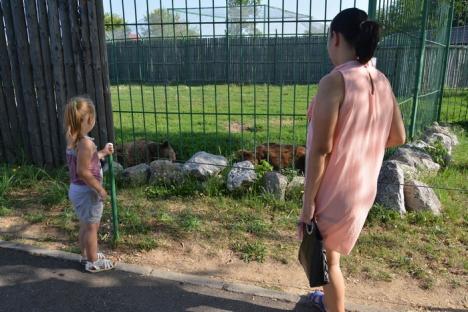 Zoo s-a sălbăticit! Extinsă şi refăcută din temelii acum 4 ani, Grădina Zoologică din Oradea s-a degradat sub ochii celor plătiţi s-o îngrijească (FOTO)