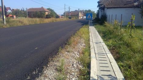 Noi isprăvi pe DN 76 Oradea-Deva: Localnicii din Sudrigiu şi Criştioru de Jos nu mai pot intra în case după supraînălţarea drumului (FOTO)