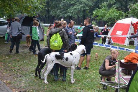 Dog Show: Cea mai mare expoziţie canină din România are loc în acest weekend la Oradea (FOTO)