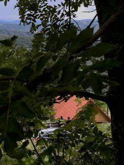 Dosarul traficanților de cocaină prinși într-o cabană din Bihor a ajuns în instanţă. Cine sunt inculpaţii (FOTO/VIDEO)