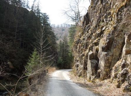 Aqua Crisius amenajează primul traseu de mountain bike, pe Valea Iadului