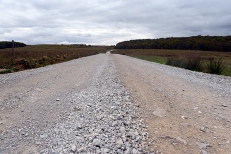 Drumul şi tunul: PSD şi UDMR Bihor au dat 2,5 milioane euro din banii județului propriilor primari, care i-au „îngropat” în lucrări îndoielnice (FOTO)