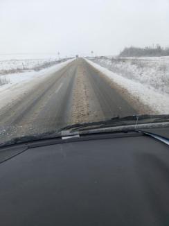 Bihorul sub zăpadă: Ninge abundent, şoferii se plâng că unele drumuri n-au fost deszăpezite (FOTO)