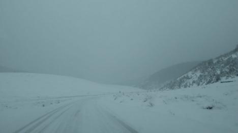 Sub nămeţi: Un drum din Bihor este închis, fiind blocat de zăpadă şi de arbori căzuţi (FOTO)
