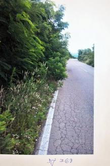 PNL Bihor acuză Consiliul Județean: Prin „marea asfaltare”, aruncă banii pe drumuri în stare bună, dar nu le repară pe cele „catastrofale” (FOTO)