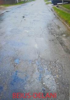 PNL Bihor acuză Consiliul Județean: Prin „marea asfaltare”, aruncă banii pe drumuri în stare bună, dar nu le repară pe cele „catastrofale” (FOTO)