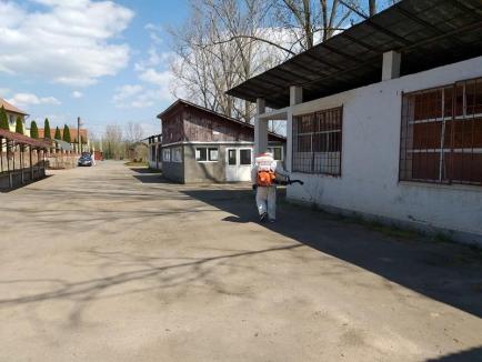 Colonie în carantină: 500 de romi din Vadu Crișului vor fi izolați sub paza jandarmilor, după ce au refuzat testarea anticoronavirus (FOTO)