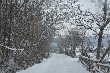 La polul frigului: În debutul geros al anului, BIHOREANUL a făcut o incursiune în cea mai rece așezare locuită din județ (FOTO / VIDEO)