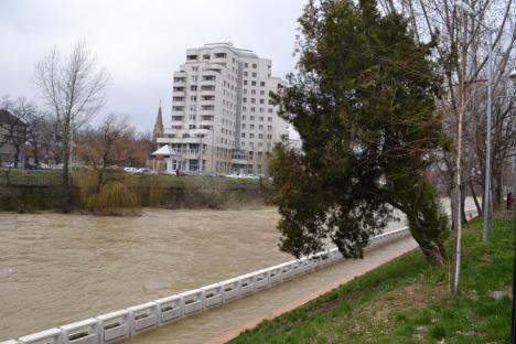 Peste 600 de hectare de teren inundate după ploile din weekend (FOTO)