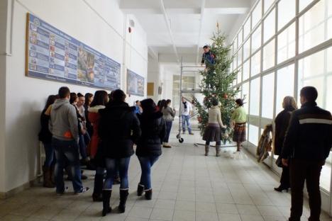Studenţii orădeni au pregătit Universitatea pentru Crăciun (FOTO)