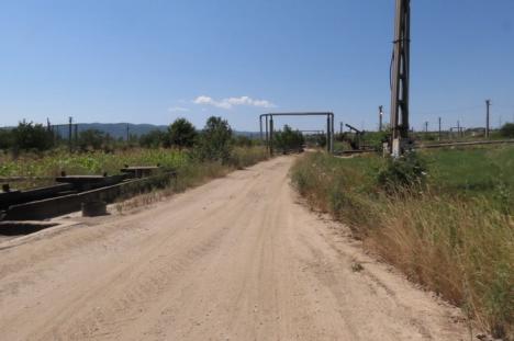Otrava neagră: Petrom poluează aerul, apa şi pământurile localnicilor din Suplac (FOTO)
