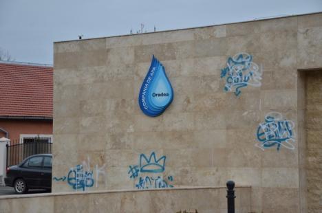 Fântâna "marcată": Arteziana din Dealul Păcii, pictată cu grafitti (FOTO)