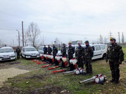 Oradea, curăţată de gângănii şi rozătoare cu tehnici noi (FOTO)