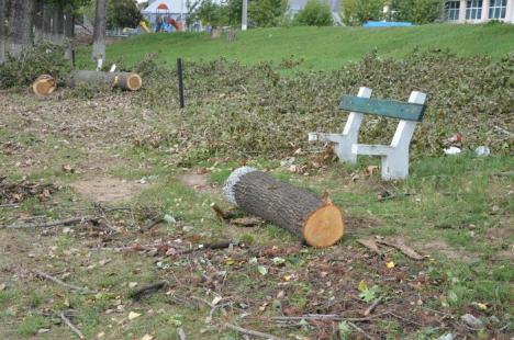 Ciopârţire în masă! ADP a retezat plopii din Ştrandul Municipal la 14 metri, la cât au ajuns drujbele RER Ecologic