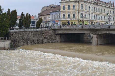 Peste 600 de hectare de teren inundate după ploile din weekend (FOTO)