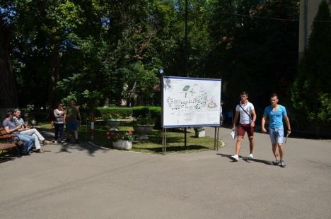 A început admiterea la facultate: Viitorii studenţi "mişună" prin campusul Universităţii din Oradea (FOTO)