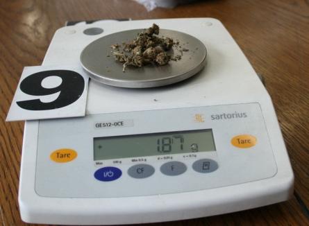 Trafic de droguri prin vama Borş: Jumătate de kilogram de cannabis, descoperit în BMW-ul unui bihorean de 26 de ani (FOTO)
