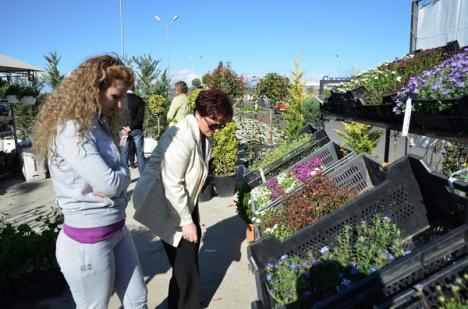 Cele mai noi tendinţe de amenajare de grădini şi terase, la Lotus Center (FOTO) 