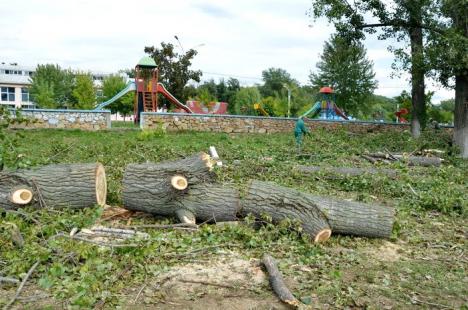 Ciopârţire în masă! ADP a retezat plopii din Ştrandul Municipal la 14 metri, la cât au ajuns drujbele RER Ecologic