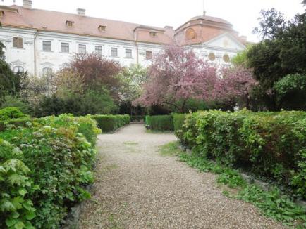 Verde înnourat: Ce urmăreşte Episcopia Romano-Catolică prin atacul la Bolojan (FOTO)