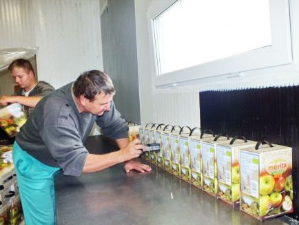 Eco Merită! Cea mai mare livadă de mere ecologice din România este la Cheresig (FOTO)