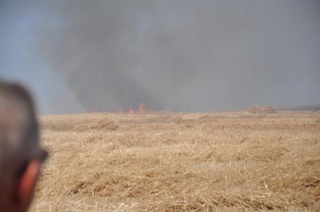 Iadul pe pământ! Cultură de orz, mistuită de flăcări în Husasău de Tinca (FOTO/VIDEO)